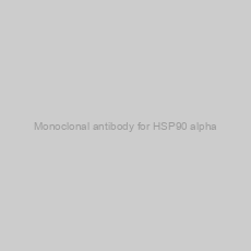 Image of Monoclonal antibody for HSP90 alpha